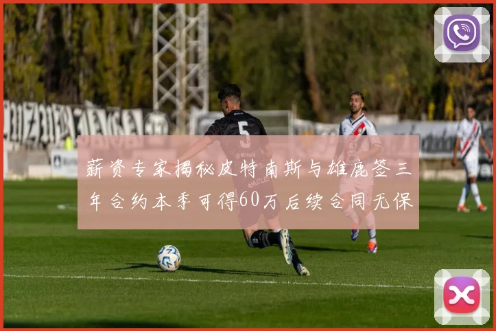 薪资专家揭秘皮特南斯与雄鹿签三年合约本季可得60万后续合同无保障